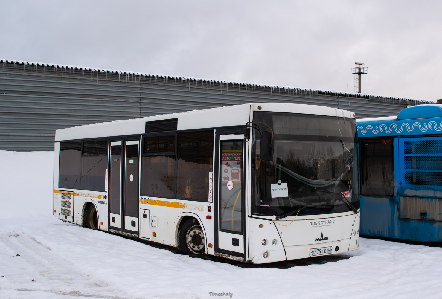Кировская область, МАЗ-206.086 № В 379 ТЕ 43