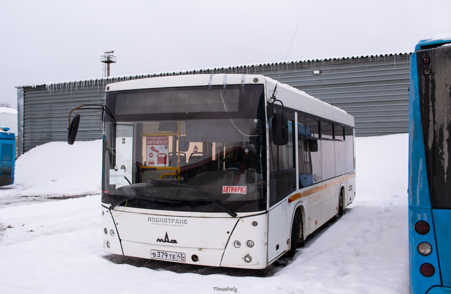 Кировская область, МАЗ-206.086 № В 379 ТЕ 43