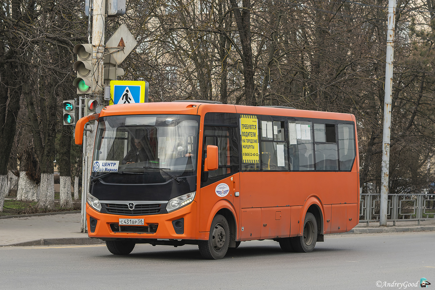 Ростовская область, ПАЗ-320405-04 "Vector Next" № С 431 ВР 58