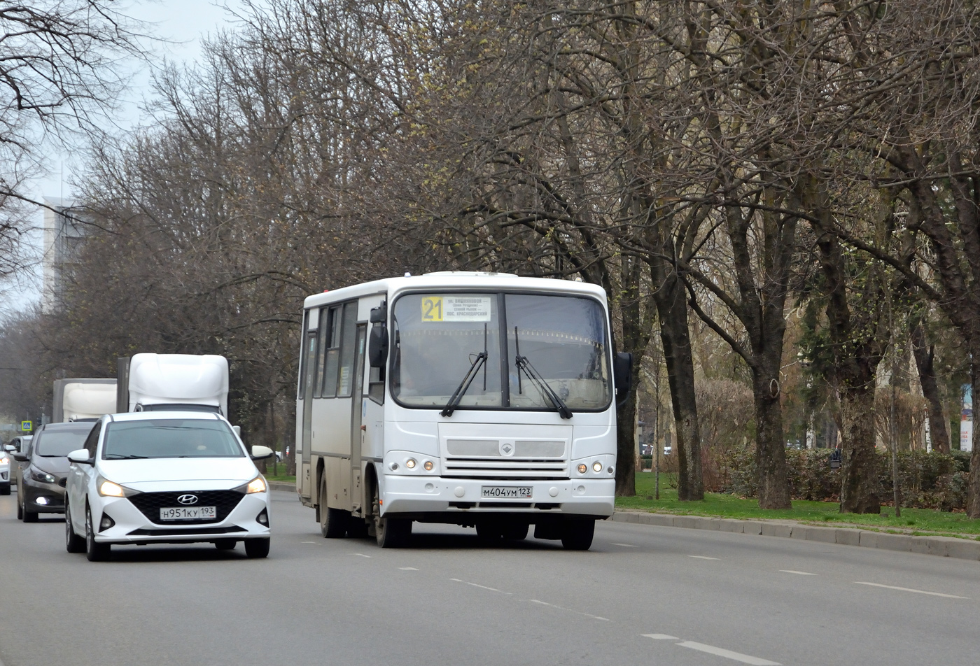 Краснодарский край, ПАЗ-320402-05 № М 404 УМ 123