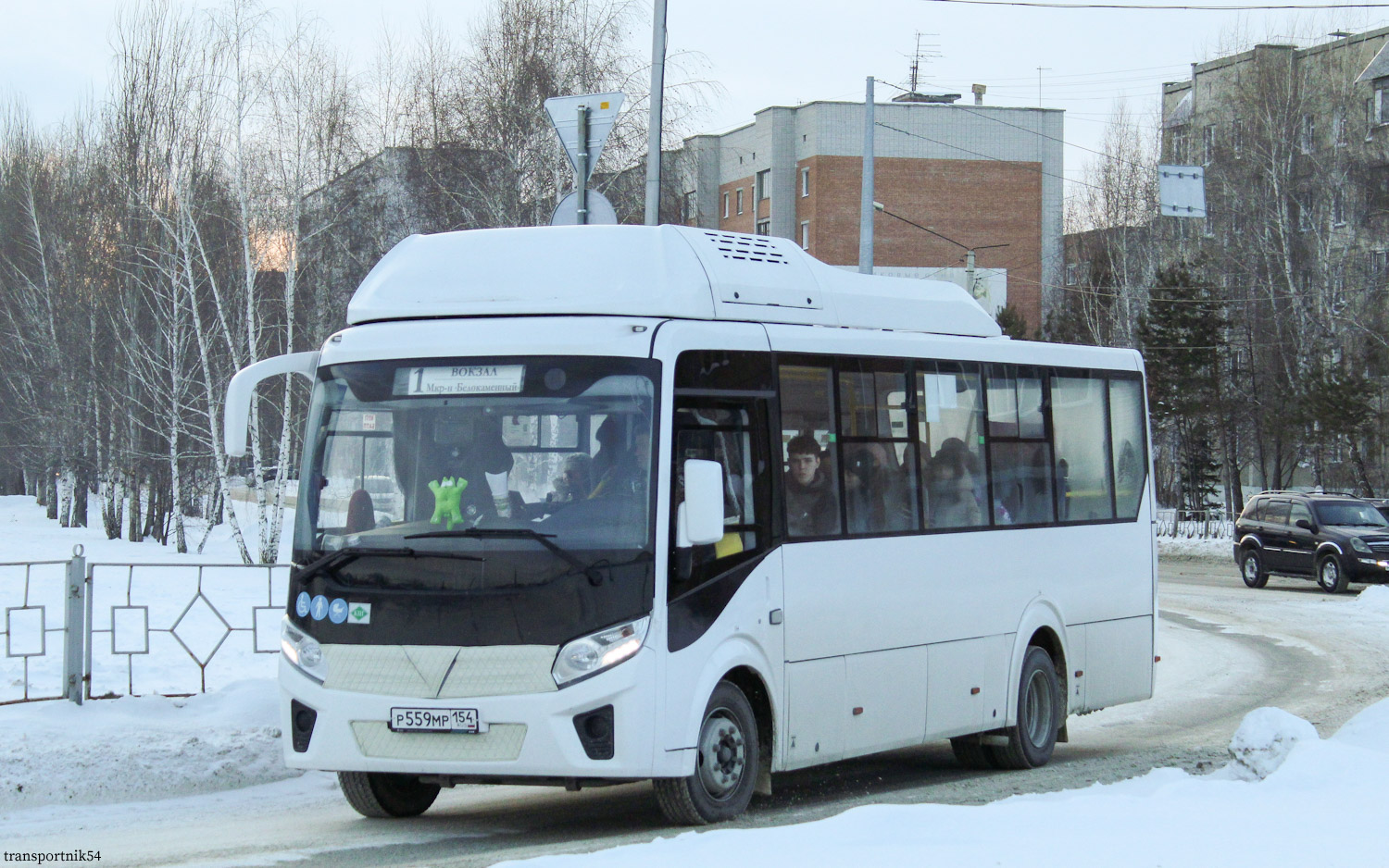 Новосибирская область, ПАЗ-320415-14 "Vector Next" № Р 559 МР 154