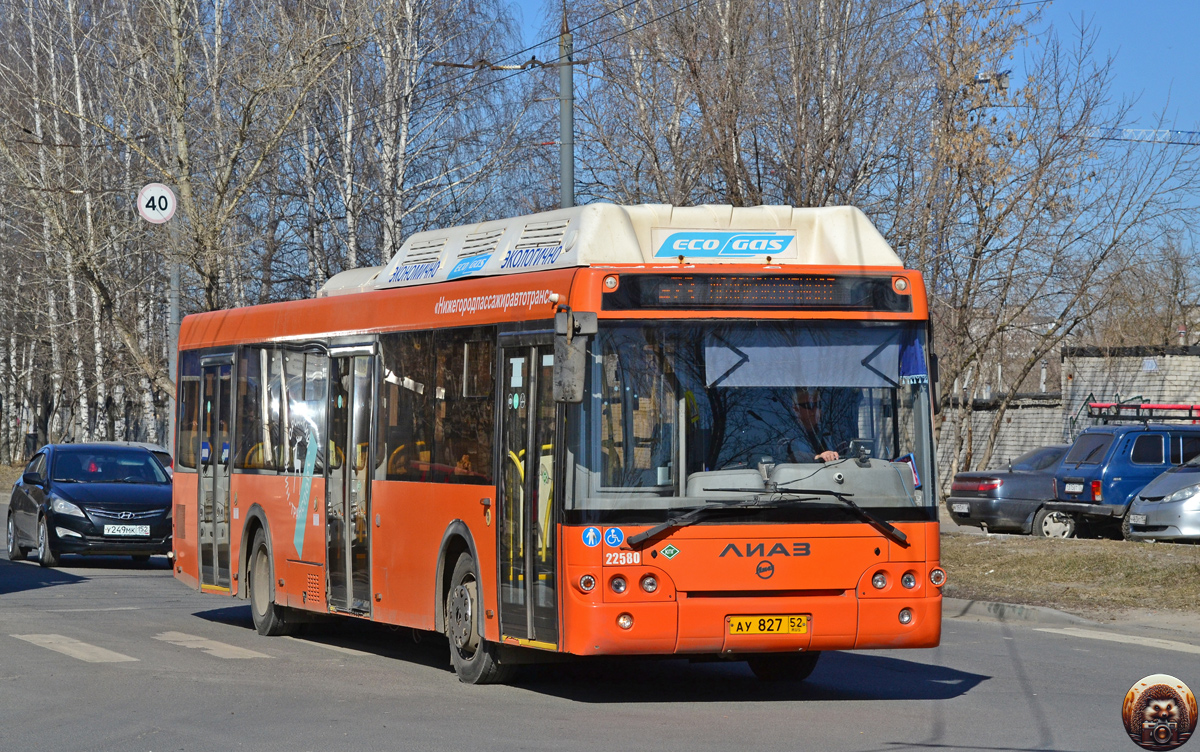 Нижегородская область, ЛиАЗ-5292.67 (CNG) № 22580