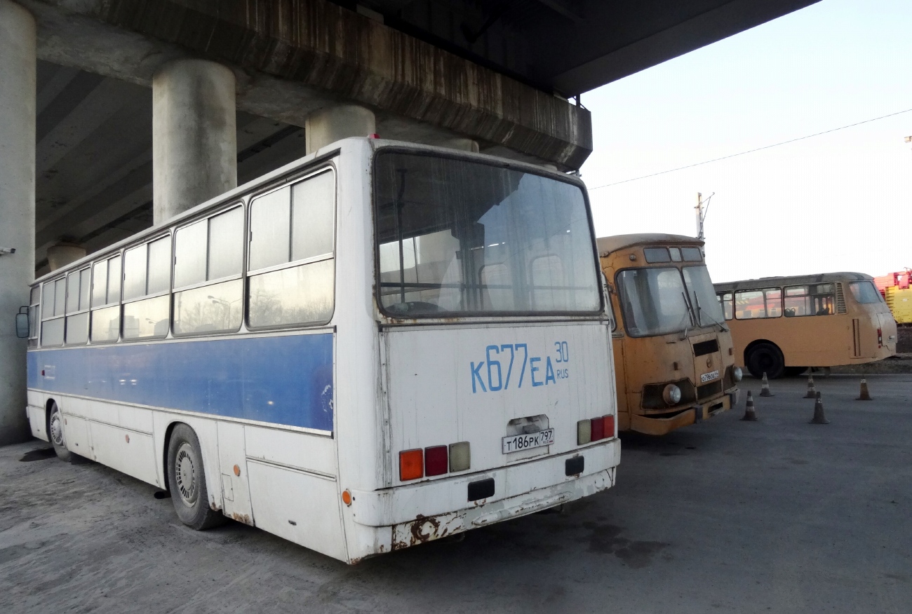Москва, Ikarus 260.51 № Т 186 РК 797