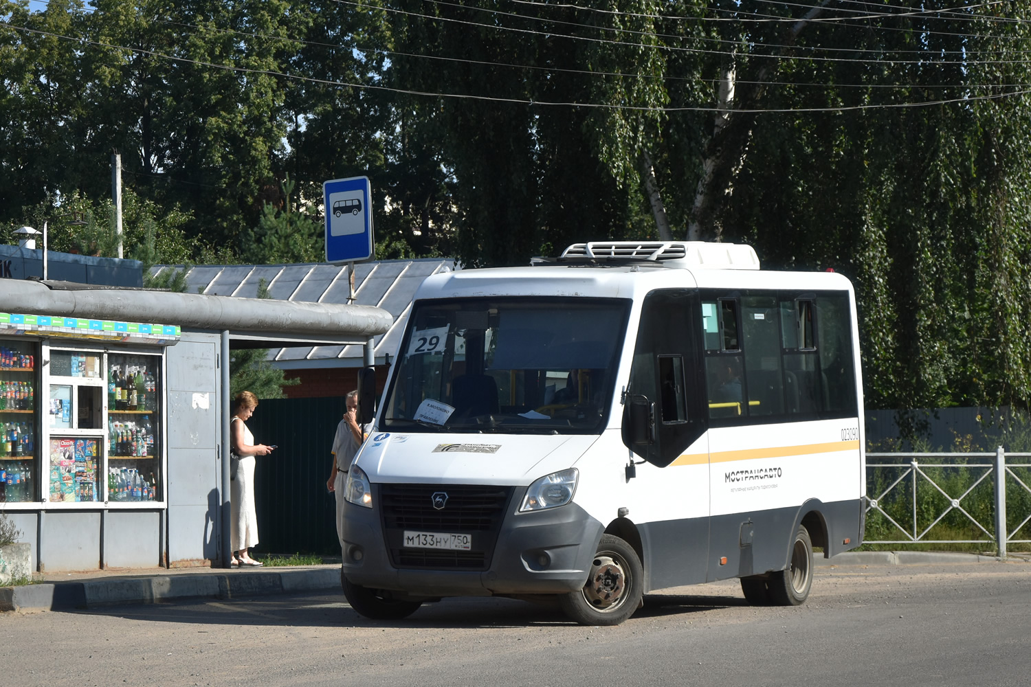 Московская область, Луидор-2250DS (ГАЗ Next) № М 133 НУ 750