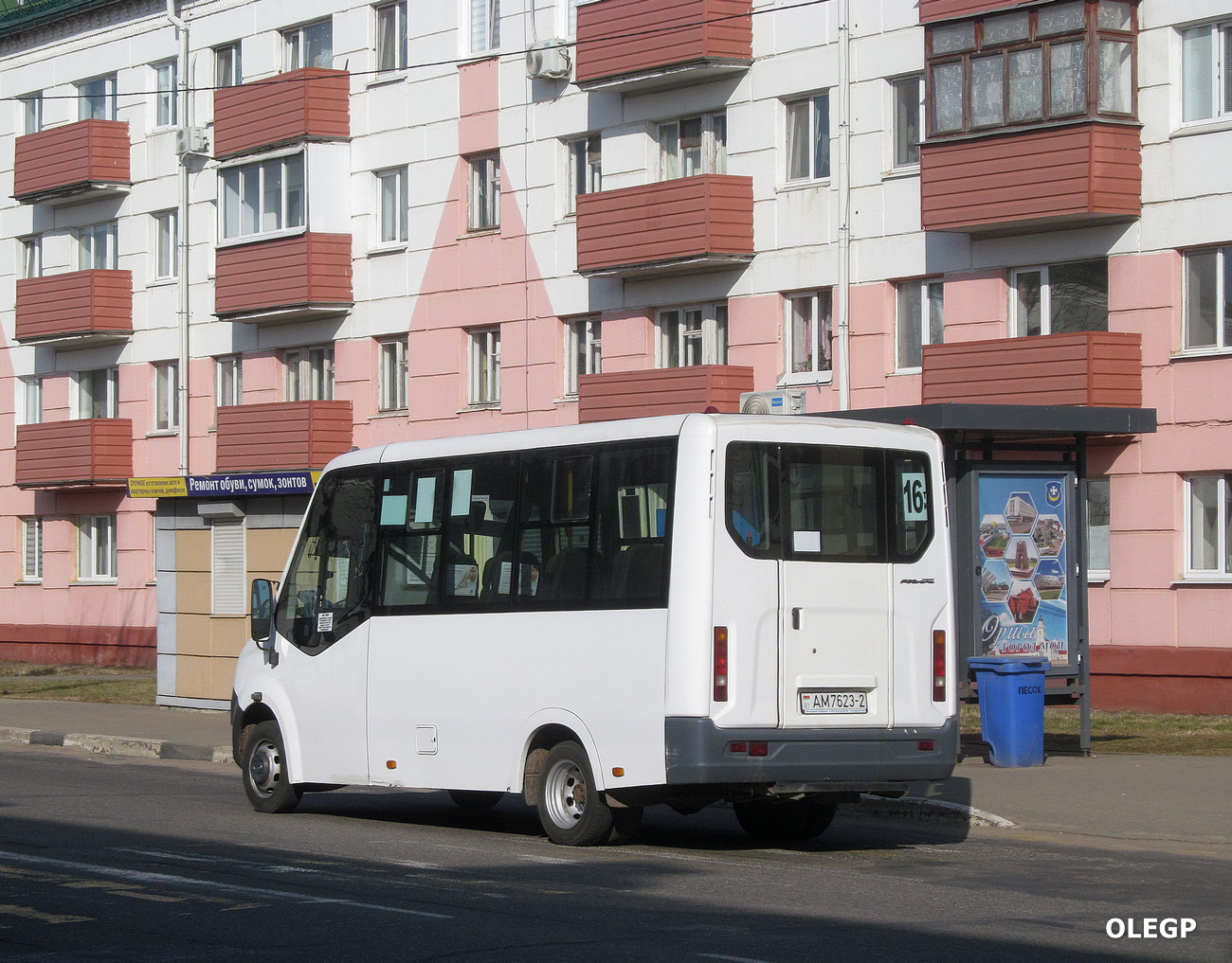 Витебская область, Луидор-225019 (ГАЗ Next) № АМ 7623-2