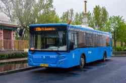 608 КБ