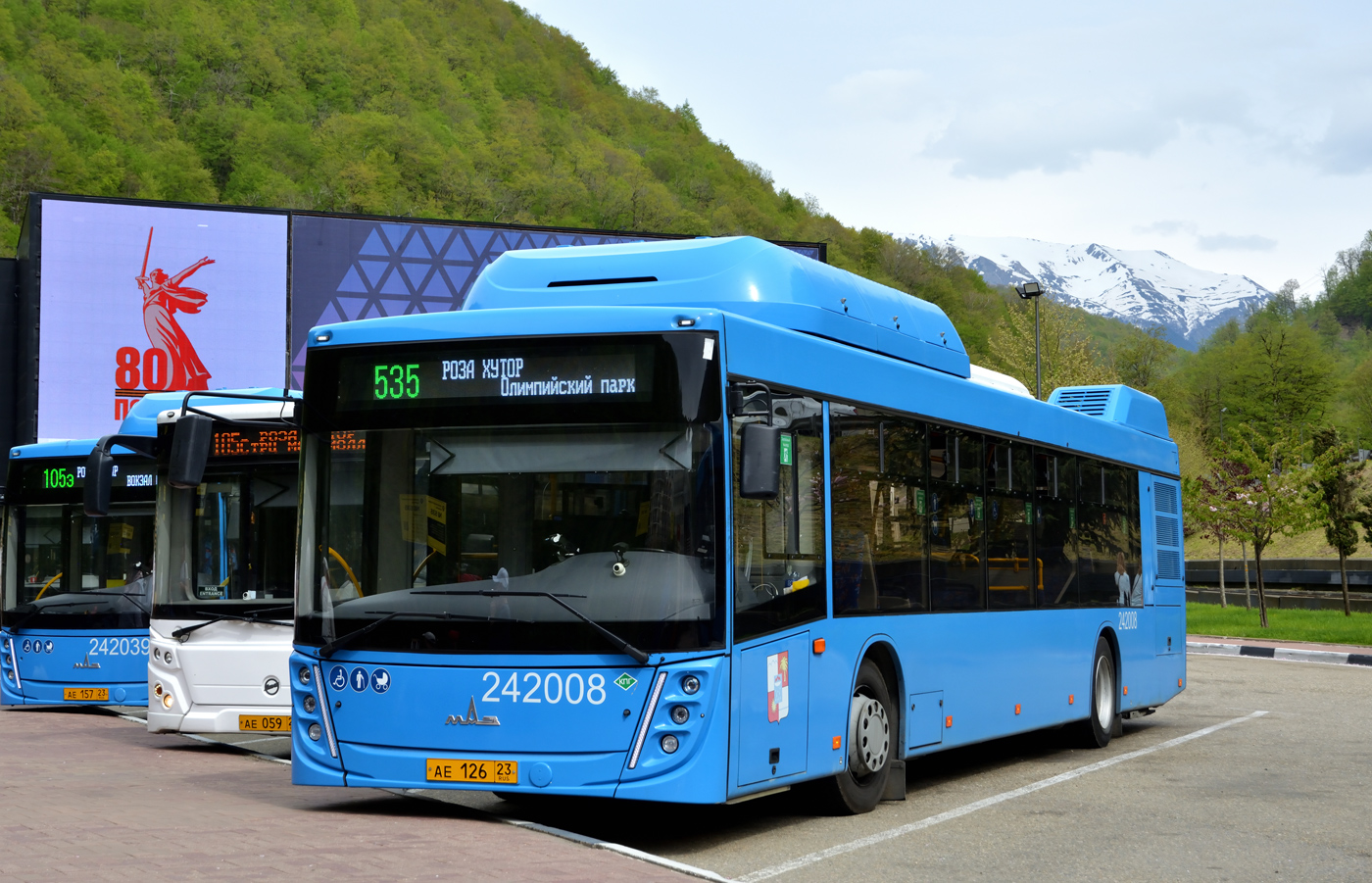 Краснодарский край, МАЗ-203.С65 № 242008