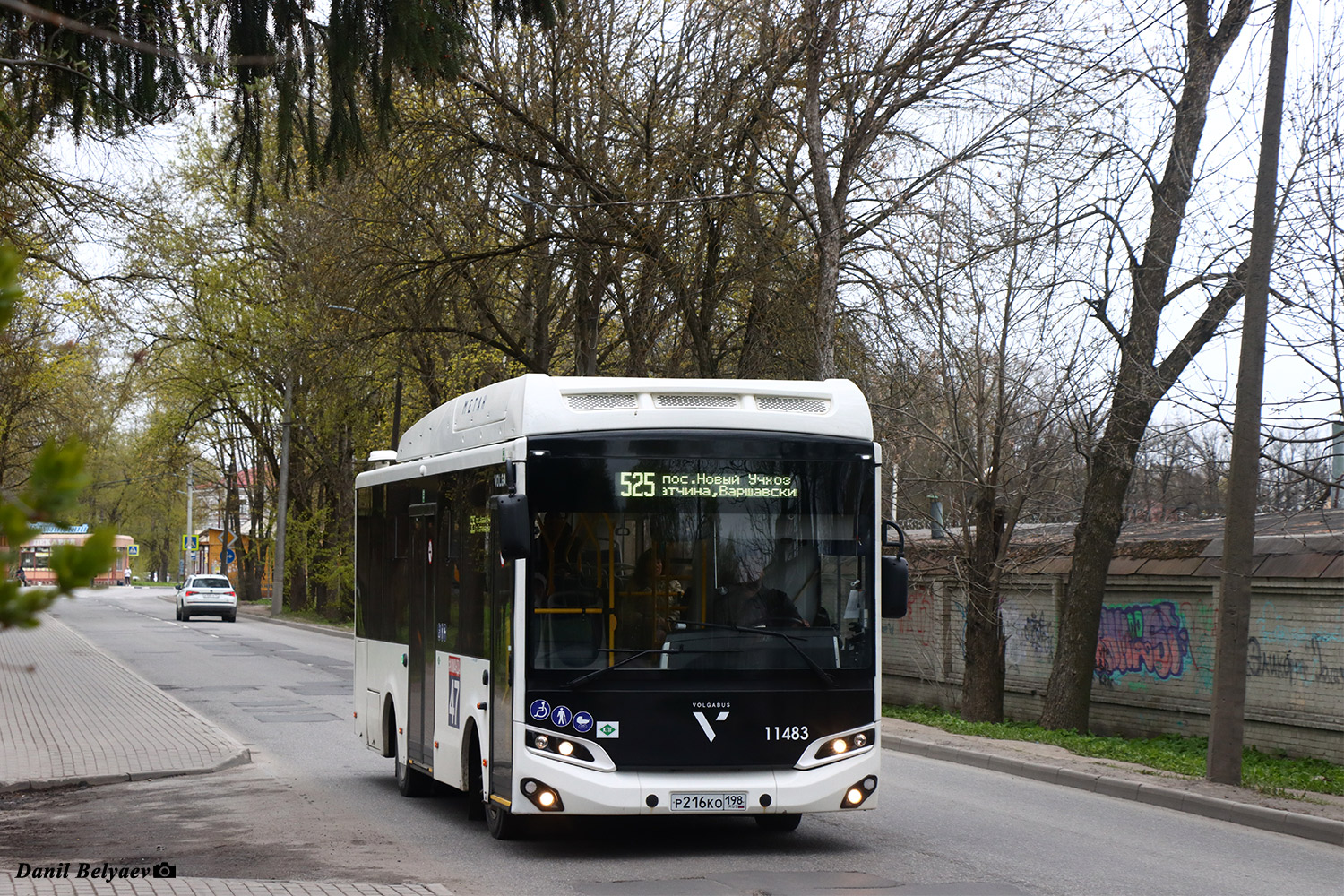 Ленинградская область, Volgabus-4298.G4 (CNG) № 11483