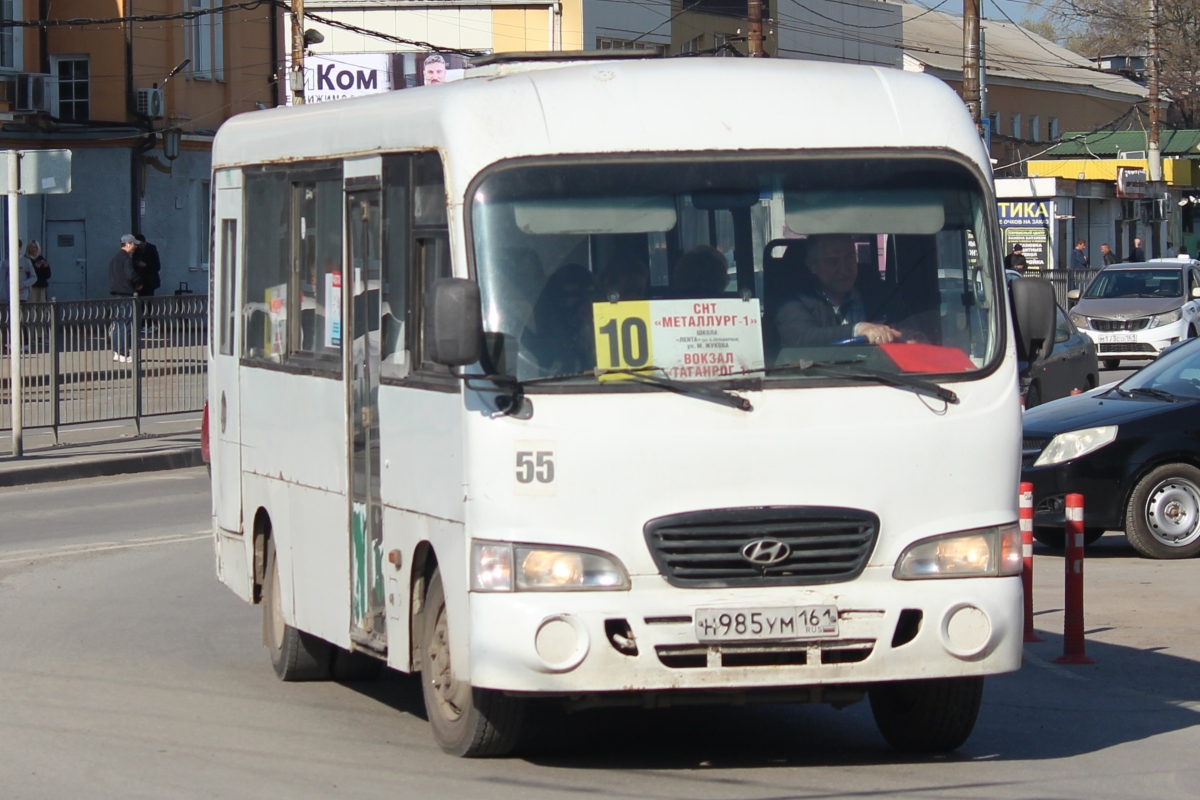 Ростовская область, Hyundai County LWB C09 (ТагАЗ) № 55