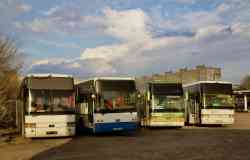 3696 КБ