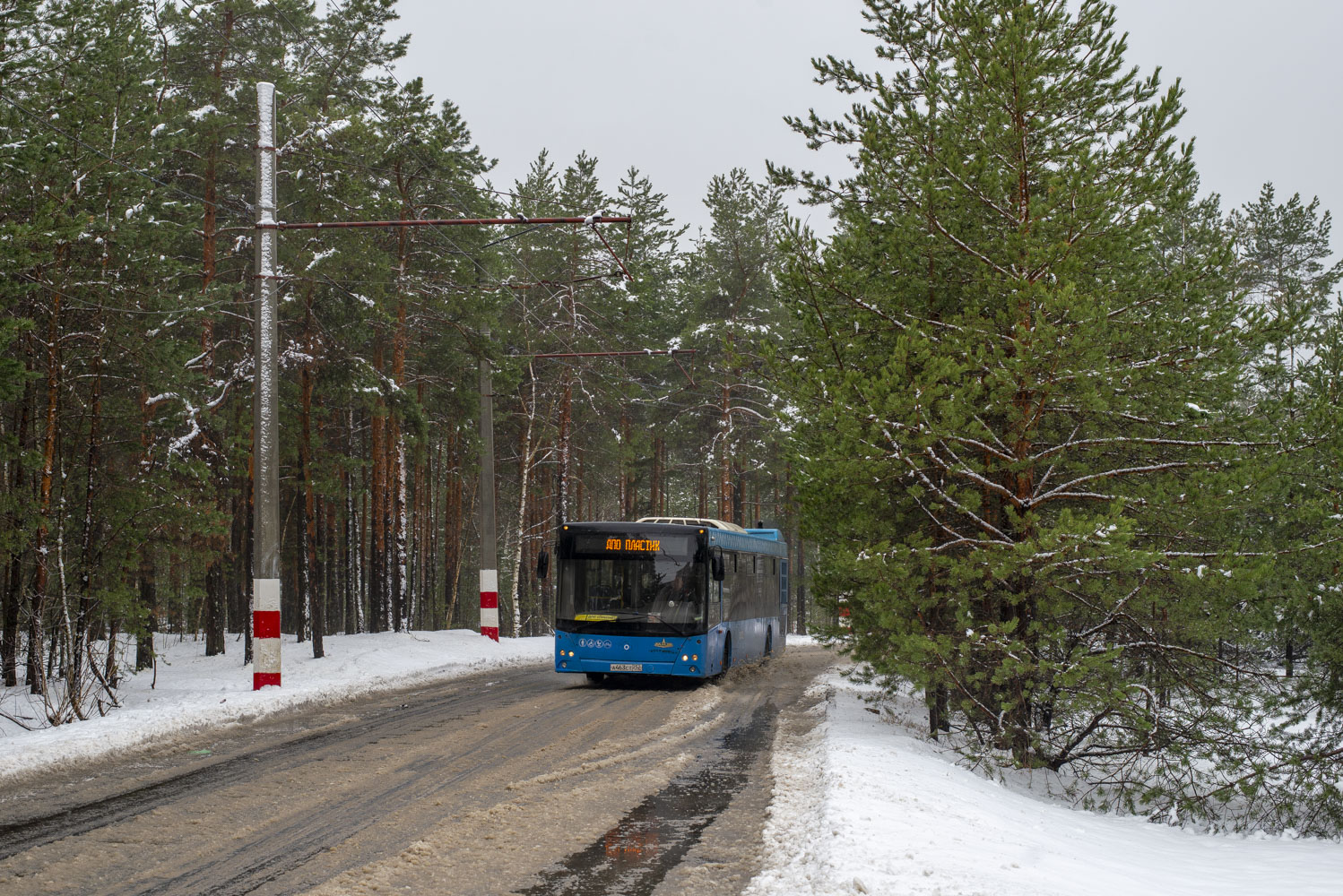 Нижегородская область, МАЗ-203.069 № А 463 СТ 252