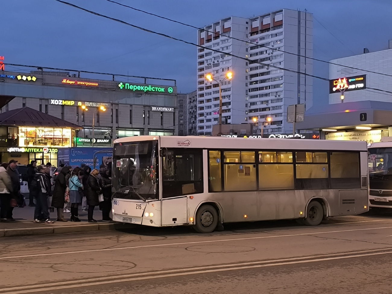 Московская область, МАЗ-206.086 № 119182