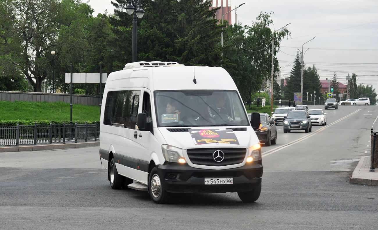 Омская область, Луидор-223602 (MB Sprinter) № У 545 НХ 55