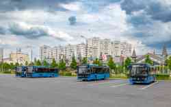 597 КБ