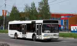 231 КБ