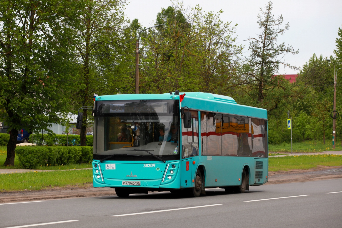 Санкт-Петербург, МАЗ-206.947 № 38309