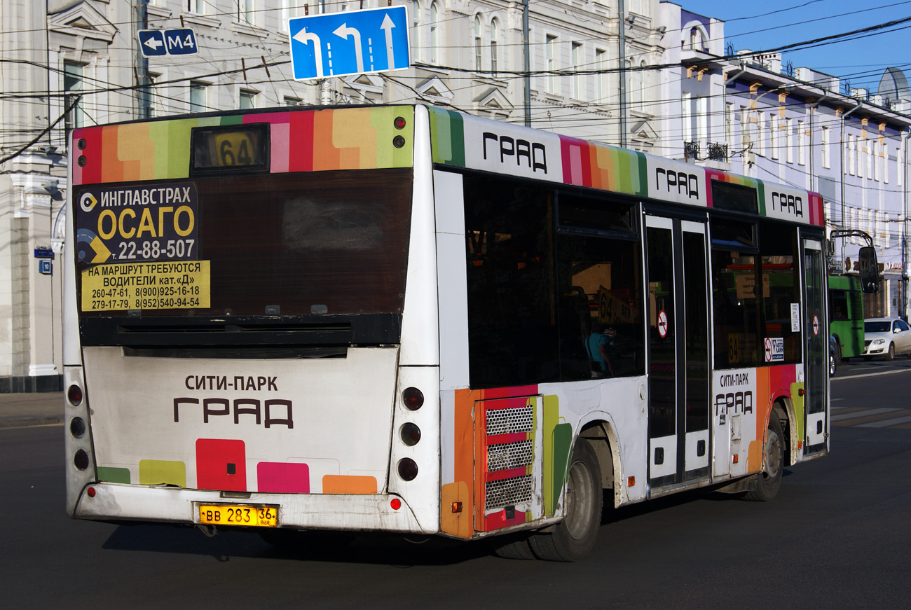 Воронежская область, МАЗ-206.060 № ВВ 283 36