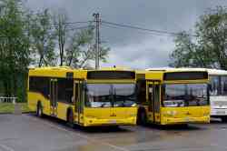 655 КБ