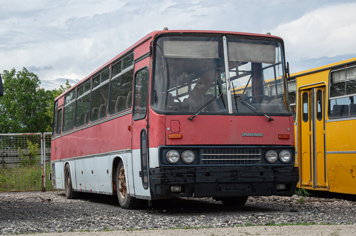 Самарская область, Ikarus 256.74 № К 431 УТ 63