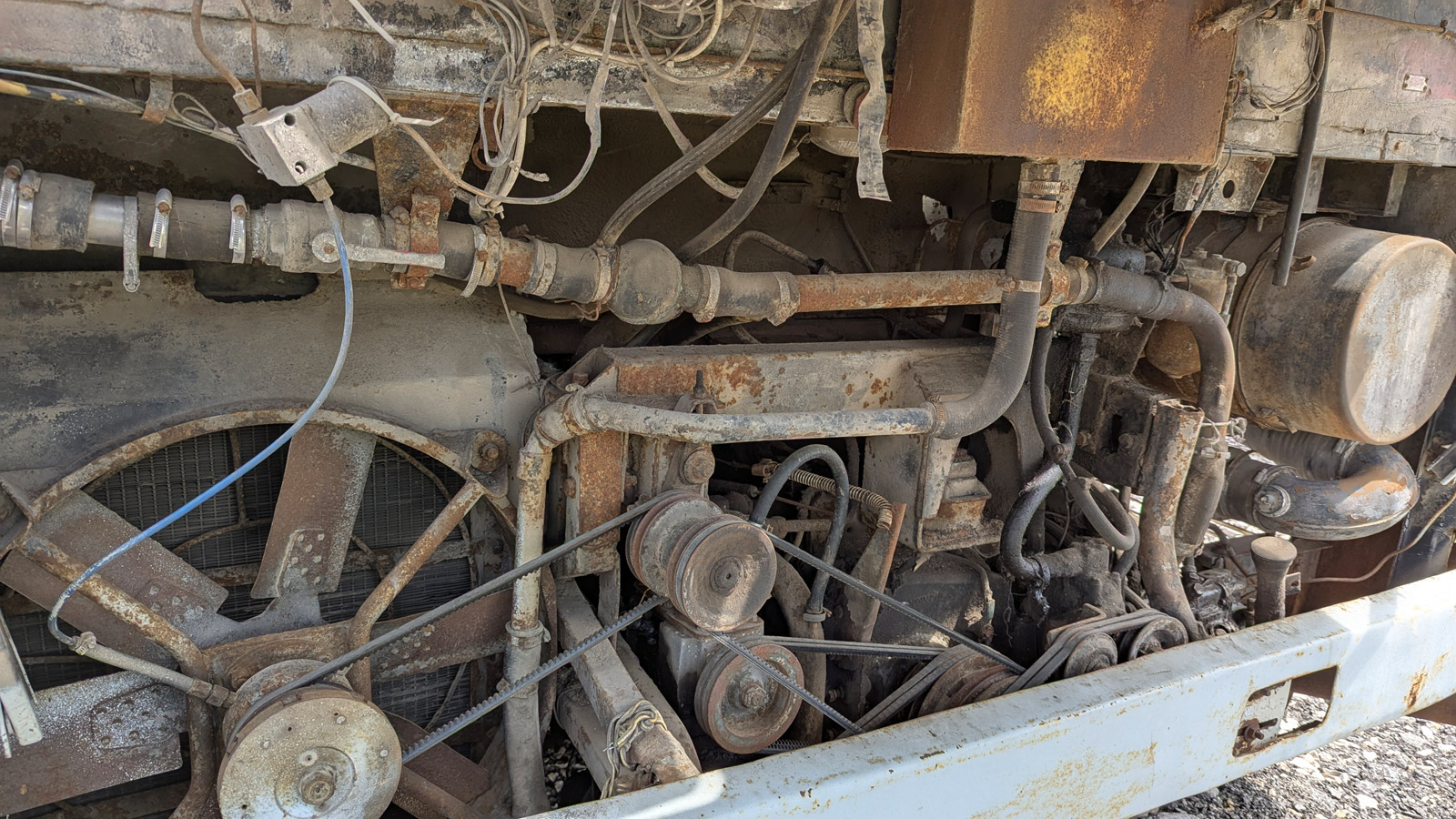 Самарская область, Ikarus 256.74 № К 431 УТ 63