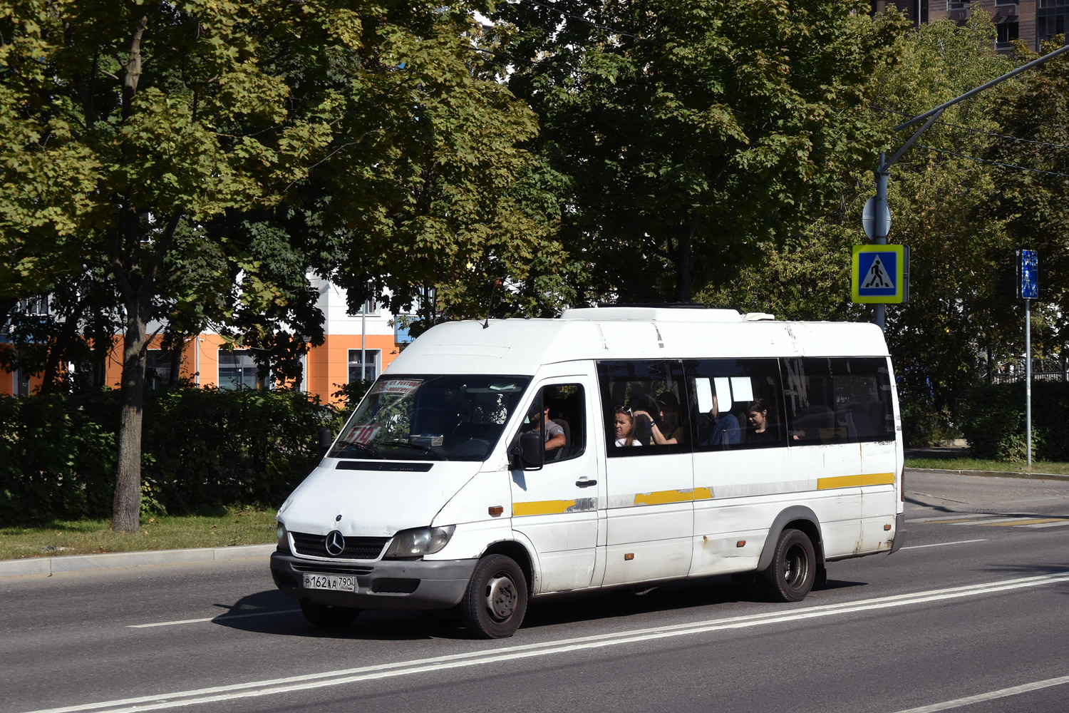 Московская область, Луидор-223237 (MB Sprinter Classic) № Р 162 АА 790