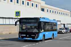 598 КБ