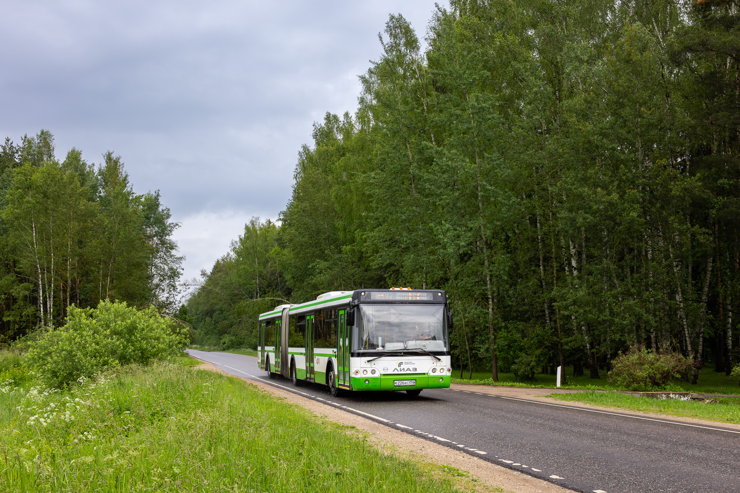 Московская область, ЛиАЗ-6213.22 № 094065