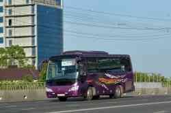 598 КБ