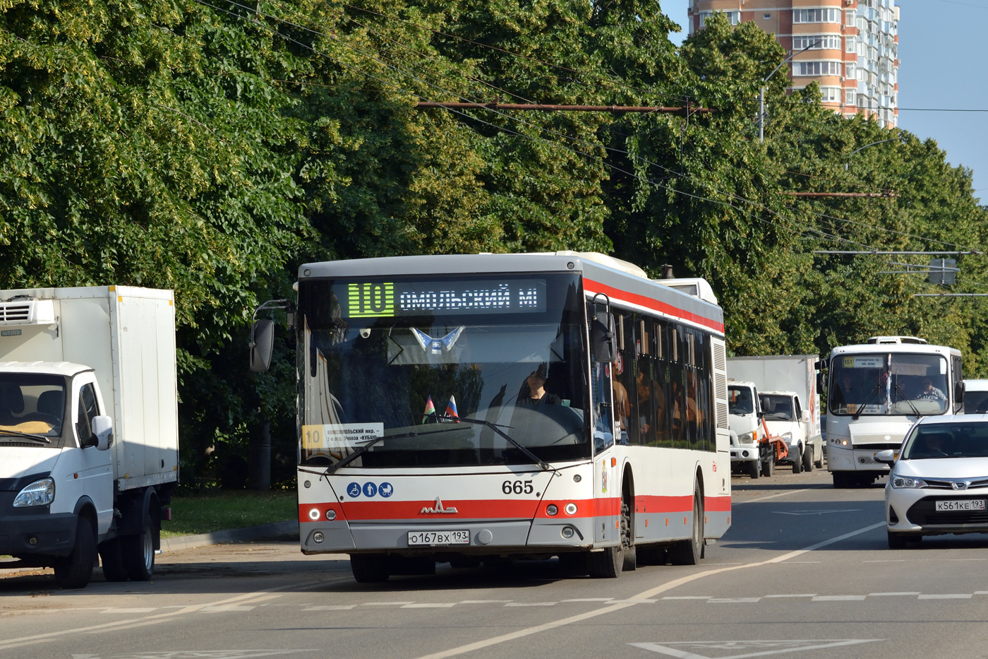Краснодарский край, МАЗ-203.016 № 665