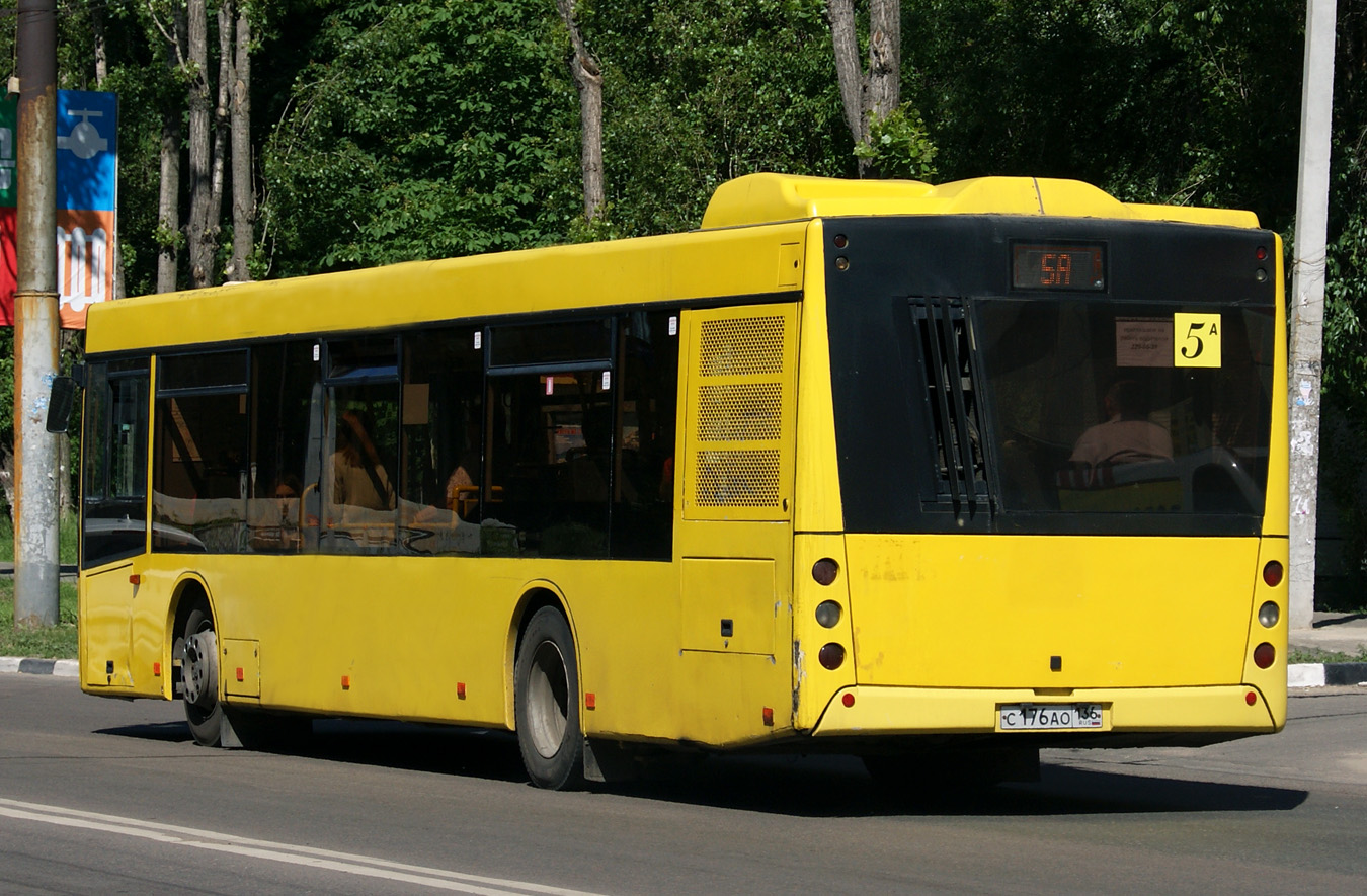 Воронежская область, МАЗ-203.067 № С 176 АО 136