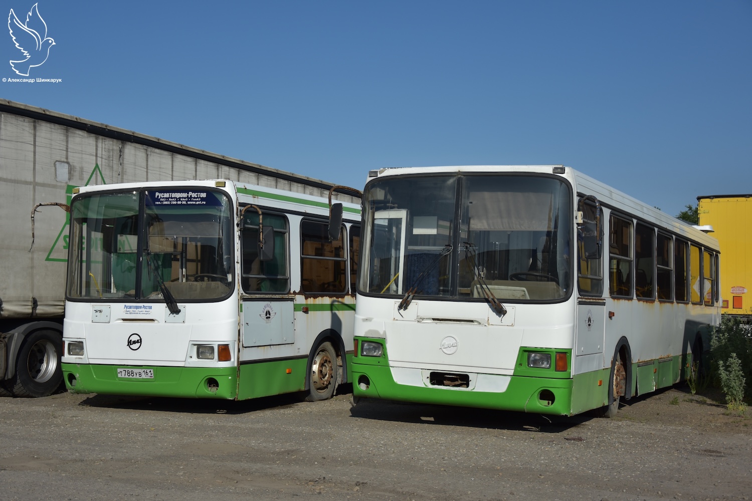 Ростовская область, ЛиАЗ-5256.36 № С 926 АА 761; Ростовская область, ЛиАЗ-5256.36 № АХ 707 36