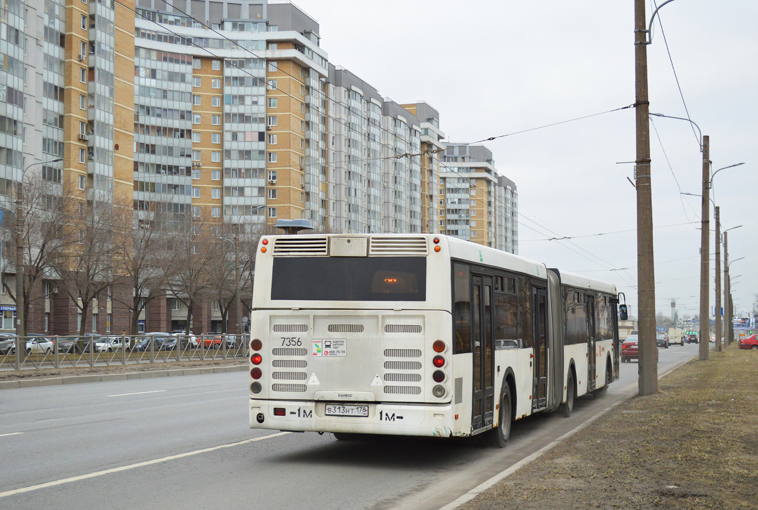 Санкт-Петербург, ЛиАЗ-6213.20 № 7356