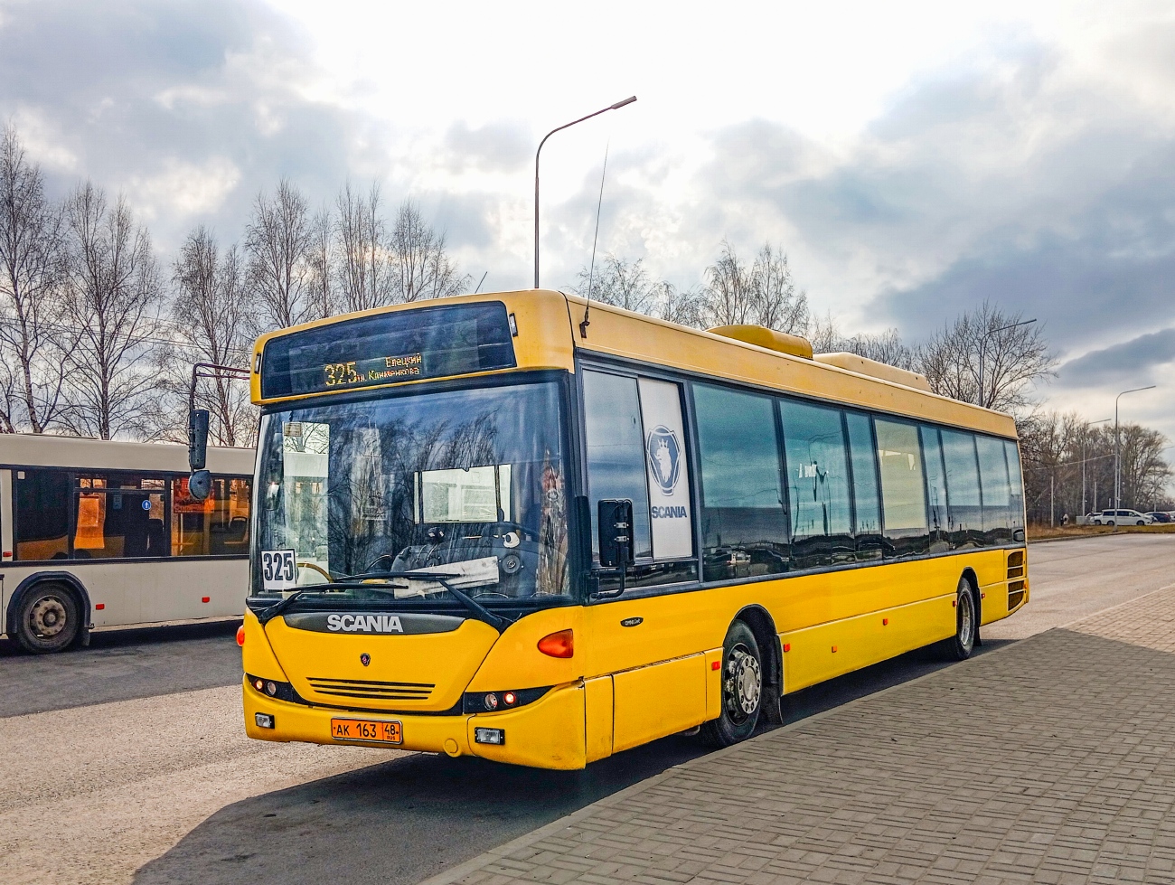 Липецкая область, Scania OmniLink II (Скания-Питер) № АК 163 48