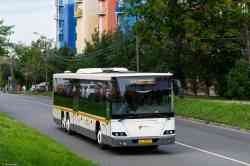 Московская область, ГолАЗ-622810-10 № 7672