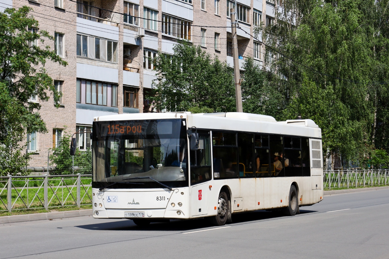 Санкт-Петербург, МАЗ-203.085 № 8311