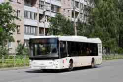 10194 КБ
