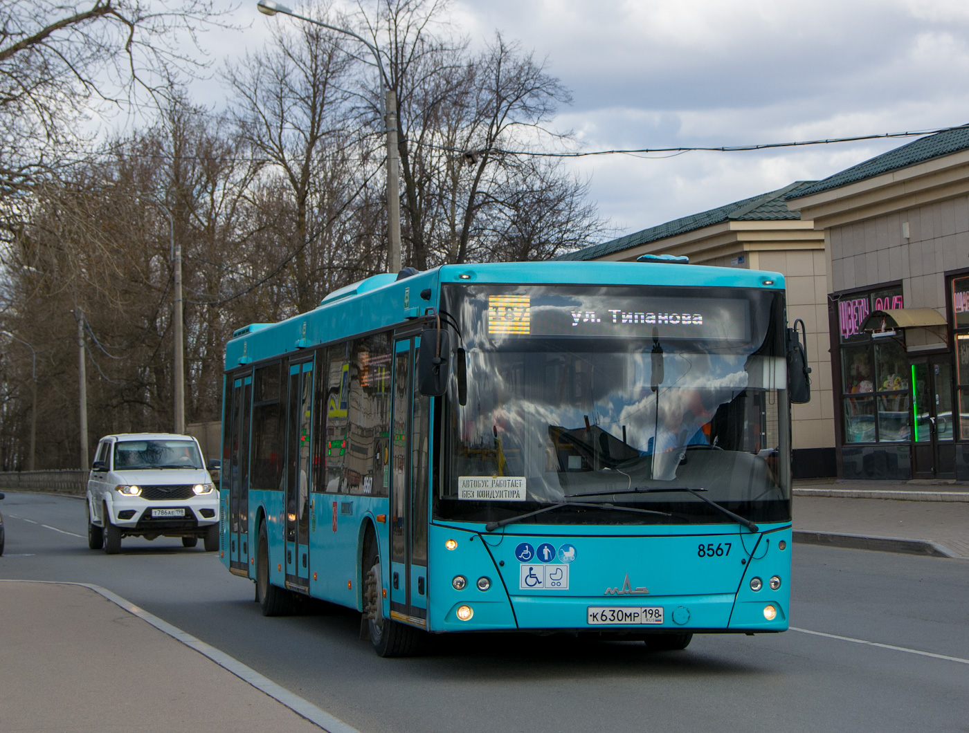 Санкт-Петербург, МАЗ-203.016 № 8567
