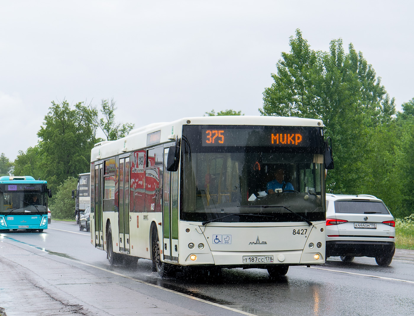 Санкт-Петербург, МАЗ-203.085 № 8427