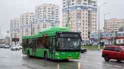 696 КБ