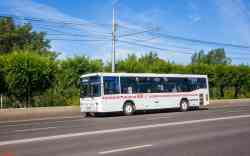 519 КБ