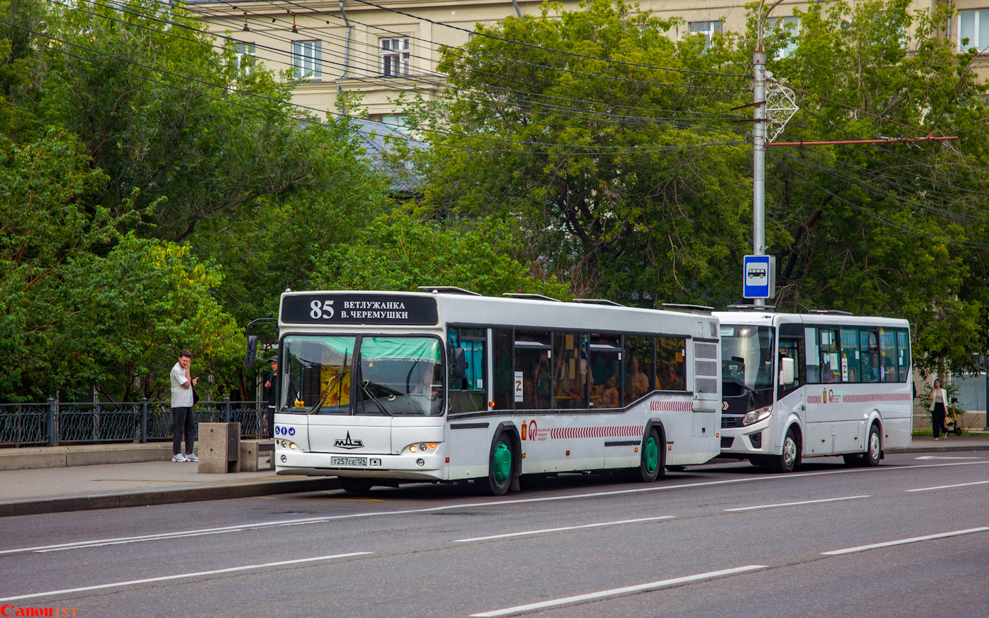Красноярский край, МАЗ-103.485 № Т 257 СЕ 124