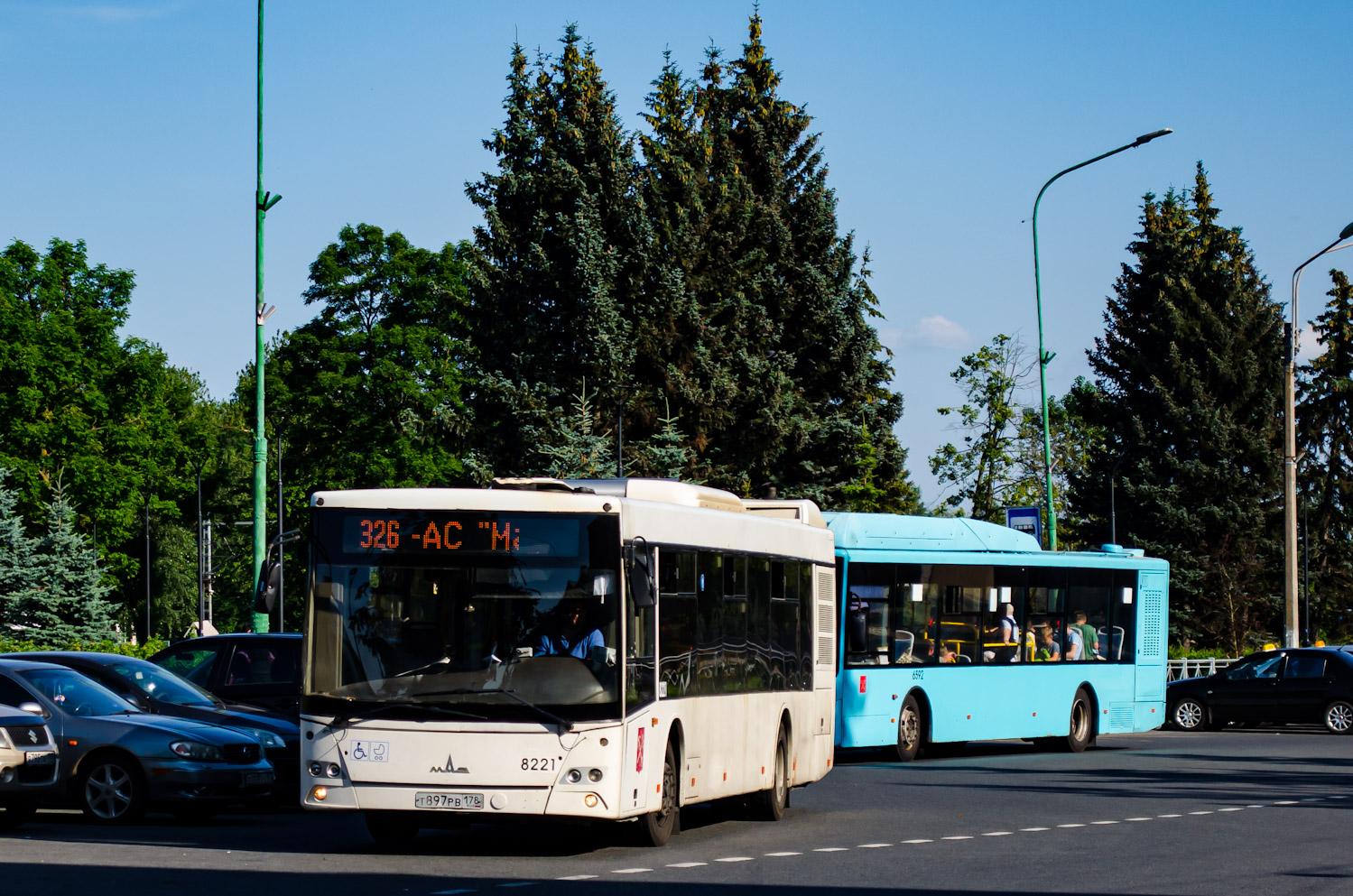 Санкт-Петербург, МАЗ-203.085 № 8221