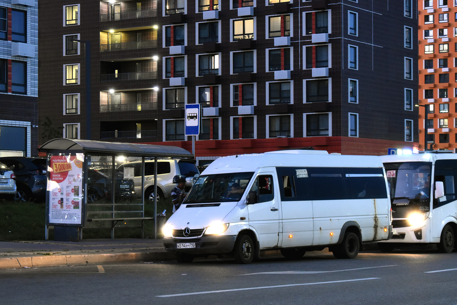 Московская область, Луидор-223237 (MB Sprinter Classic) № 119770