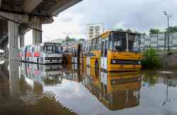 Москва, Ikarus 280.33 № Н 631 ОВ 797; Москва, Ikarus 283.00 № АМ 430 64