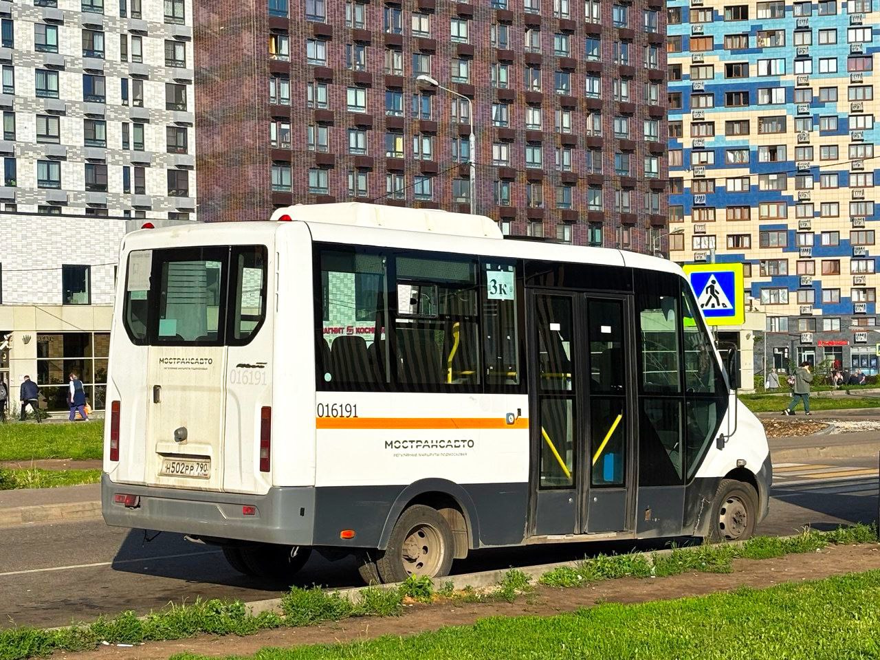 Московская область, Луидор-2250DS (ГАЗ Next) № 011191