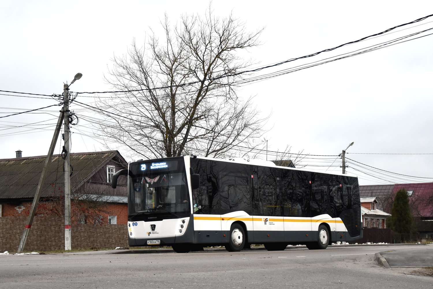 Московская область, НефАЗ-5299-31-52 № 046663