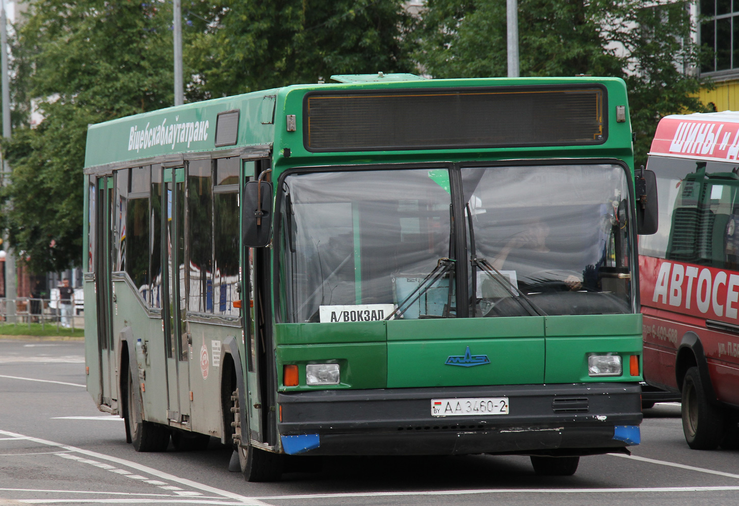 Витебская область, МАЗ-103.062 № 020486