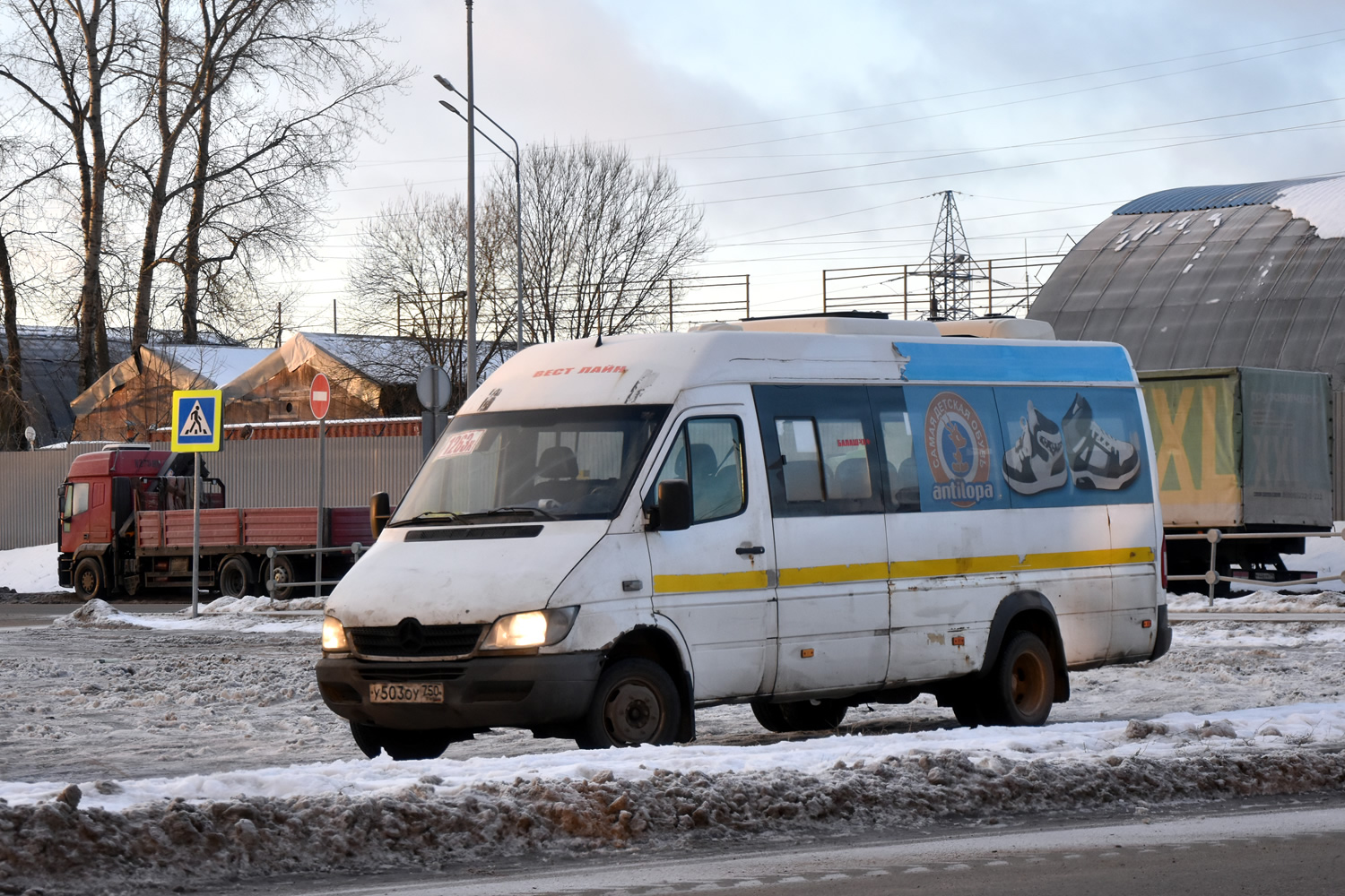 Московская область, Луидор-223237 (MB Sprinter Classic) № 110120