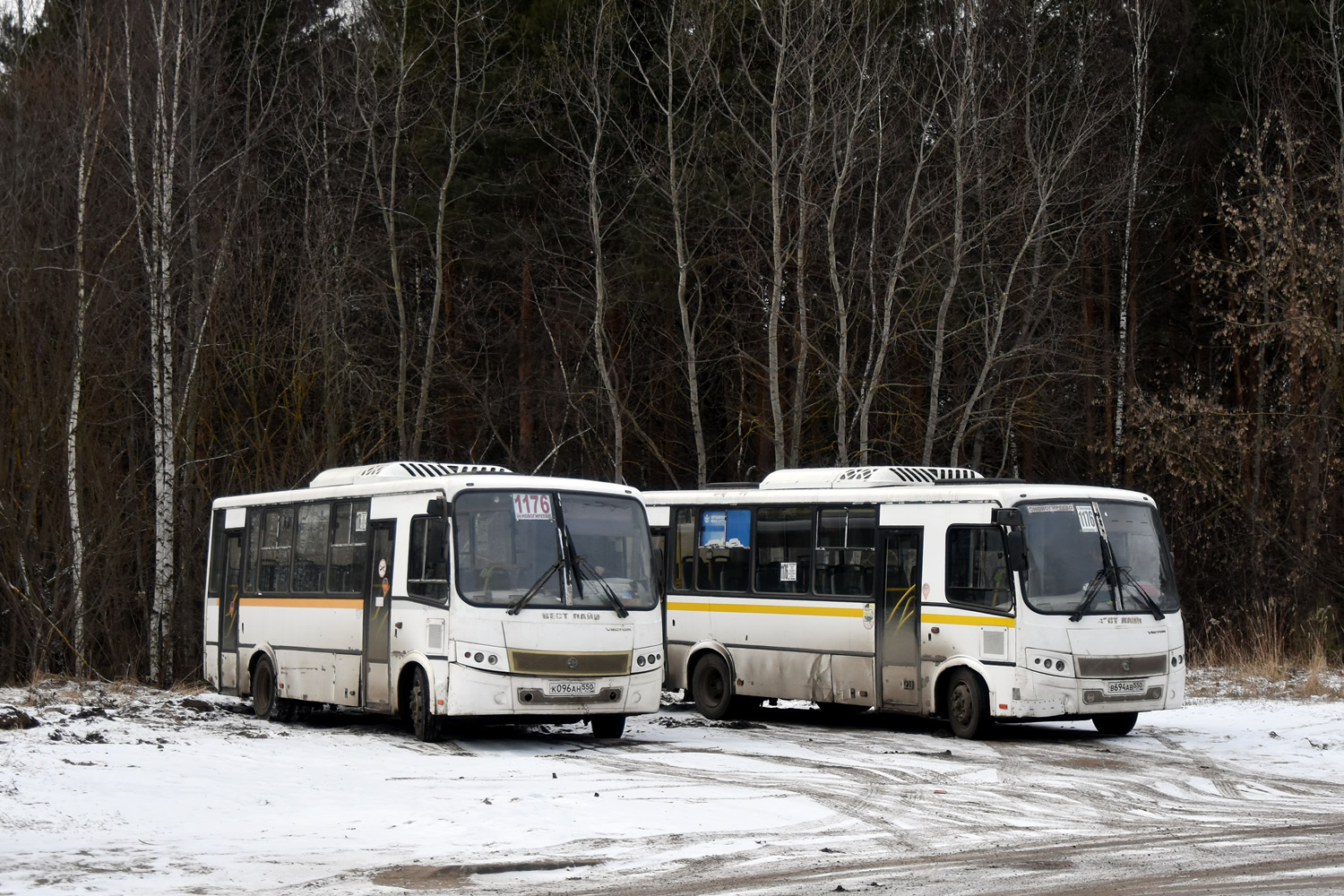 Московская область, ПАЗ-320412-04 "Вектор" № 110187; Московская область, ПАЗ-320412-04 "Вектор" № 110184