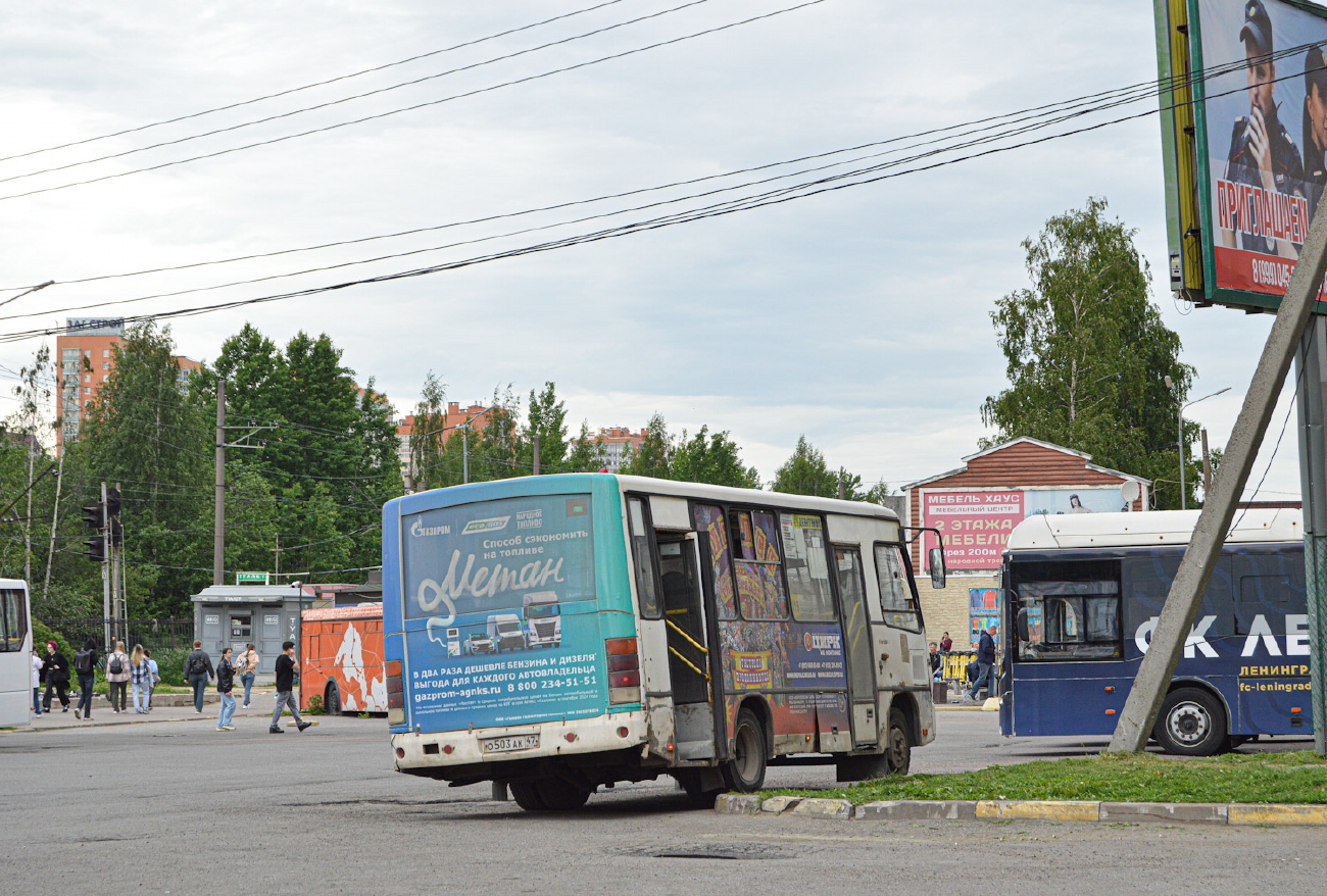 Ленинградская область, ПАЗ-320402-05 № О 503 АК 47